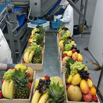 Picture of مصنع تعبئة و تغليف فواكه و خضراوات