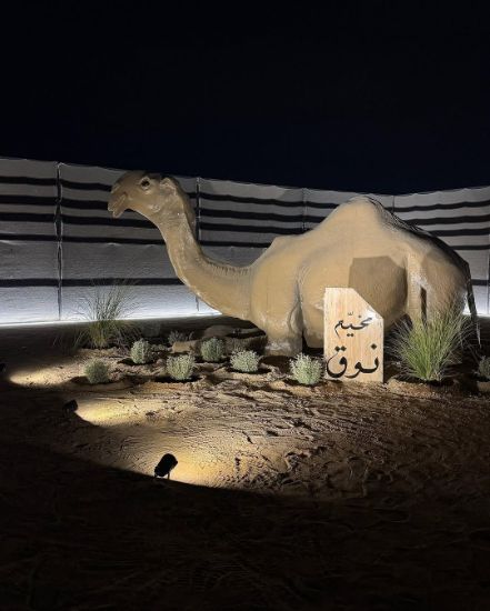 Picture of مخيم بالمطلاع