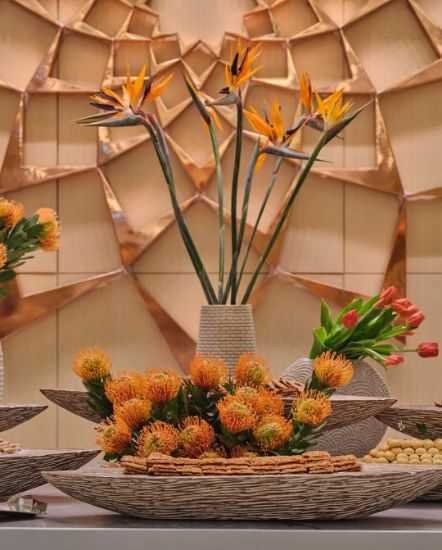 Picture of ترخيص تجهيزات الأعراس واستقبالات الولادة